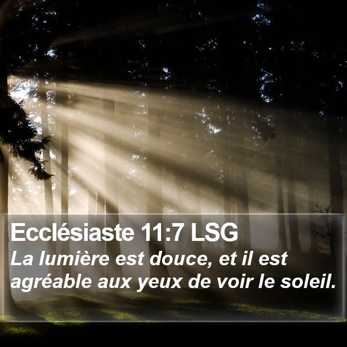 Ecclésiaste 11:7 LSG Bible Study