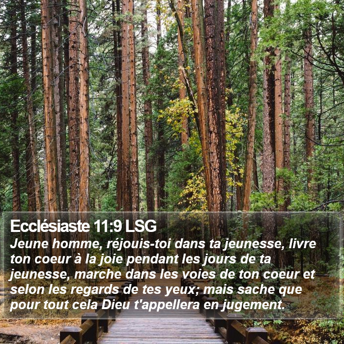 Ecclésiaste 11:9 LSG Bible Study