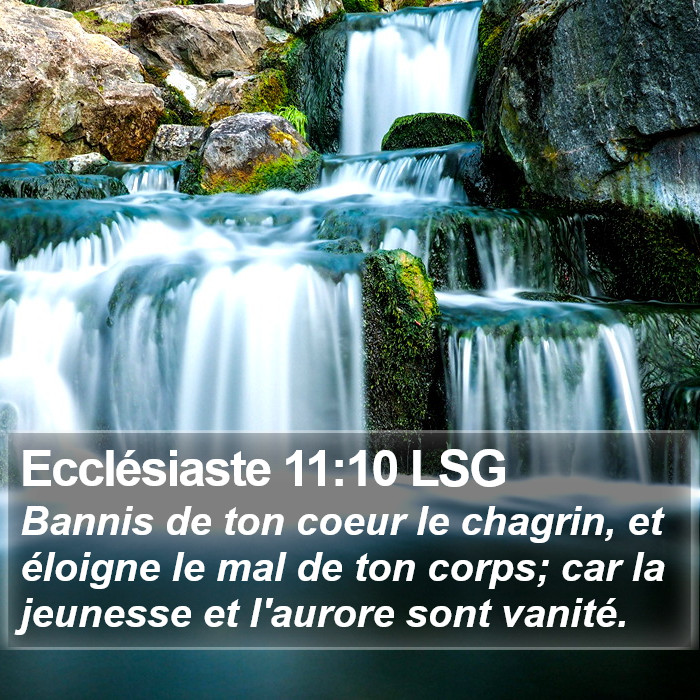 Ecclésiaste 11:10 LSG Bible Study