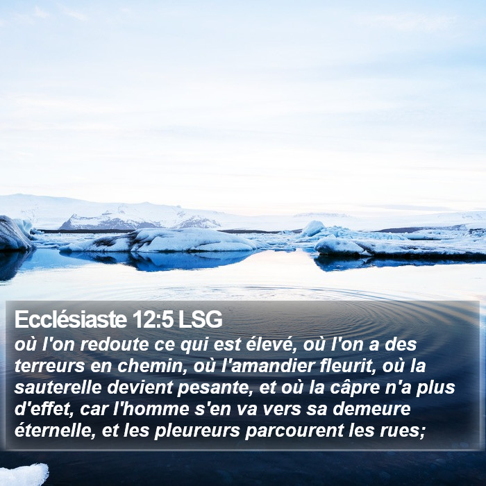 Ecclésiaste 12:5 LSG Bible Study