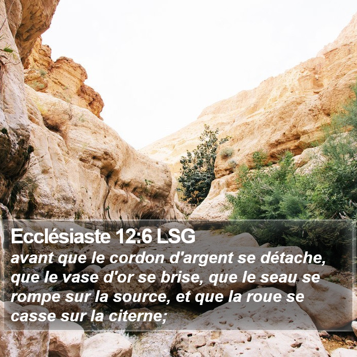 Ecclésiaste 12:6 LSG Bible Study