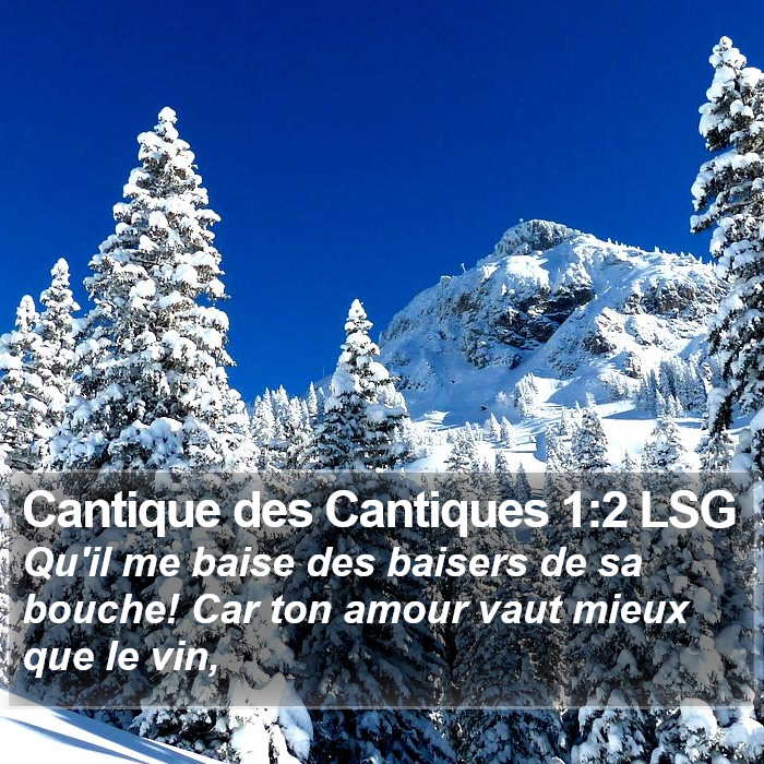 Cantique des Cantiques 1:2 LSG Bible Study