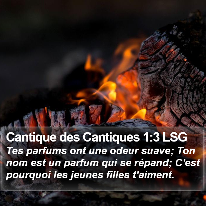 Cantique des Cantiques 1:3 LSG Bible Study