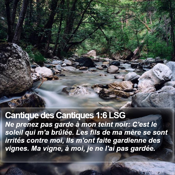 Cantique des Cantiques 1:6 LSG Bible Study