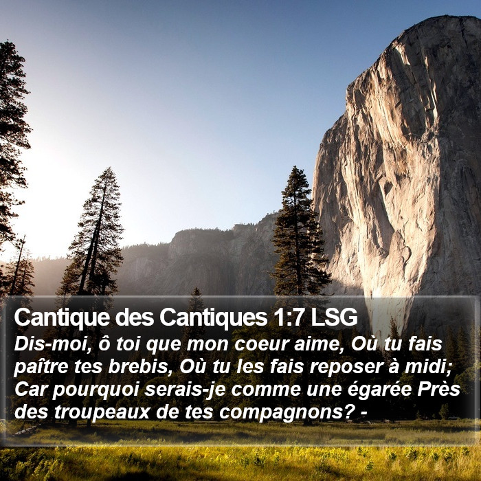 Cantique des Cantiques 1:7 LSG Bible Study