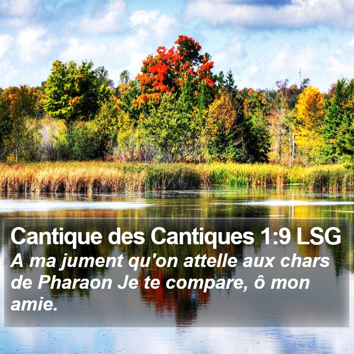 Cantique des Cantiques 1:9 LSG Bible Study