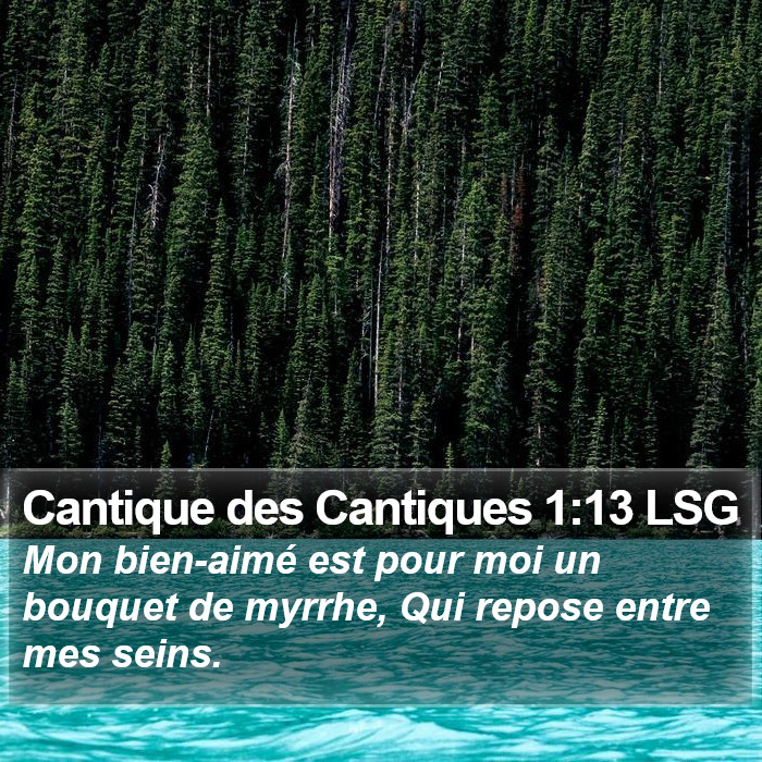 Cantique des Cantiques 1:13 LSG Bible Study