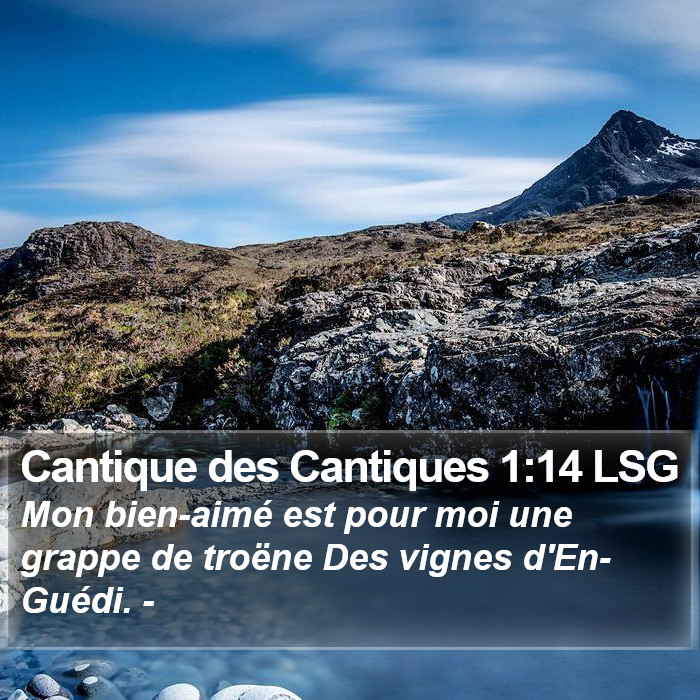 Cantique des Cantiques 1:14 LSG Bible Study