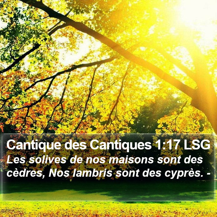 Cantique des Cantiques 1:17 LSG Bible Study