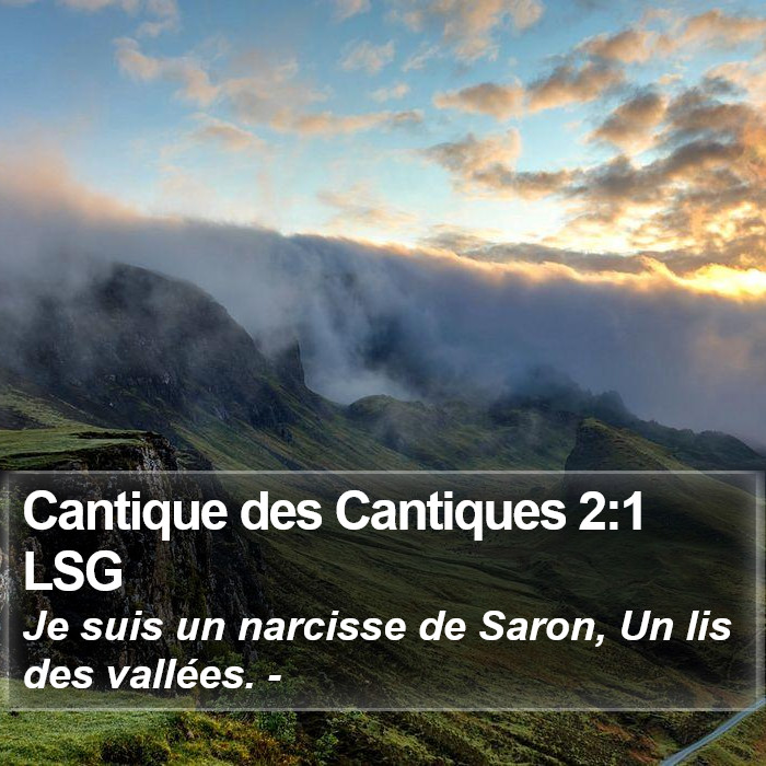 Cantique des Cantiques 2:1 LSG Bible Study