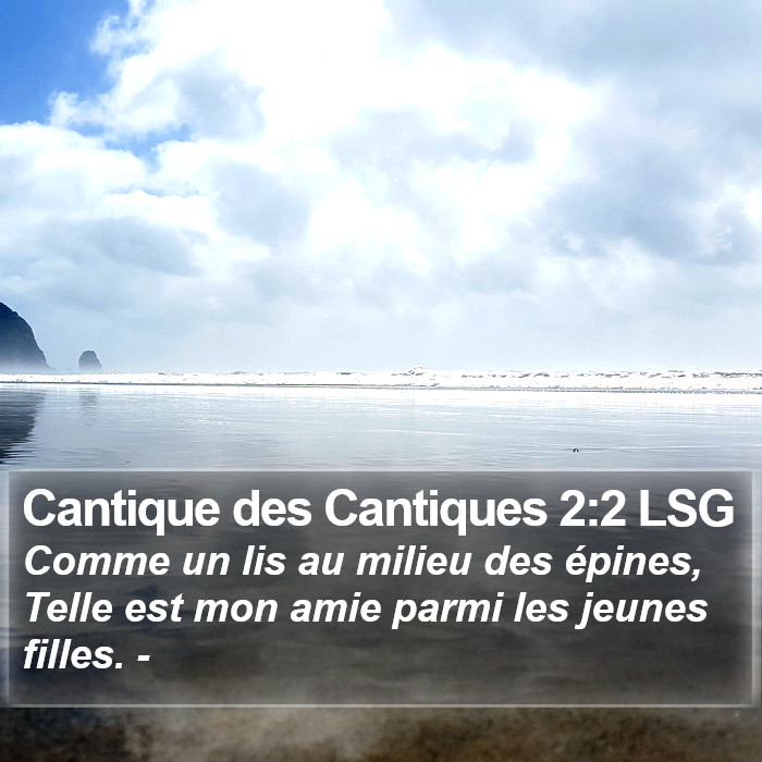 Cantique des Cantiques 2:2 LSG Bible Study