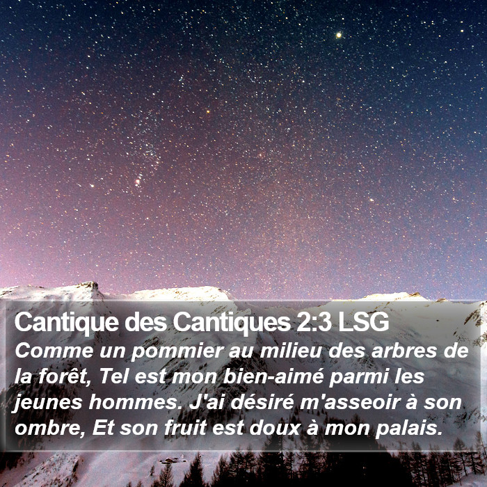 Cantique des Cantiques 2:3 LSG Bible Study