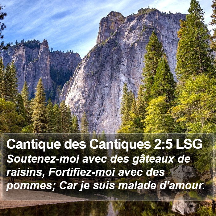 Cantique des Cantiques 2:5 LSG Bible Study