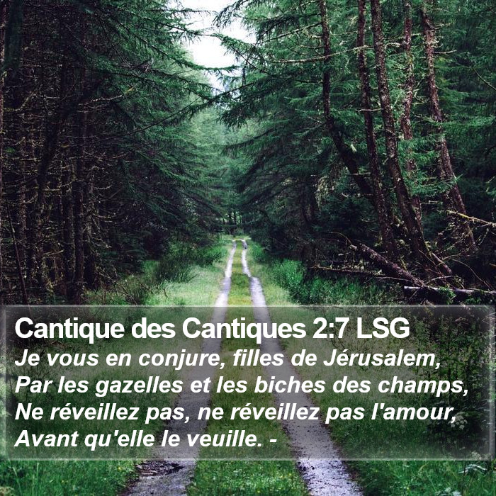 Cantique des Cantiques 2:7 LSG Bible Study