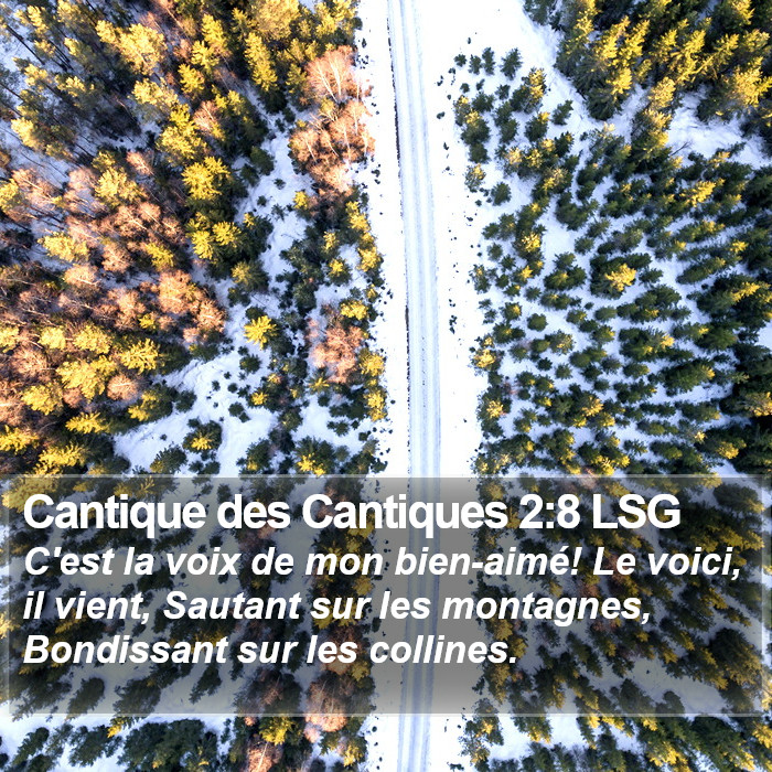 Cantique des Cantiques 2:8 LSG Bible Study