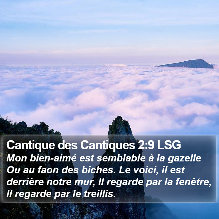 Cantique des Cantiques 2:9 LSG Bible Study