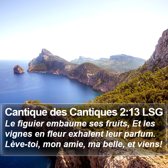 Cantique des Cantiques 2:13 LSG Bible Study