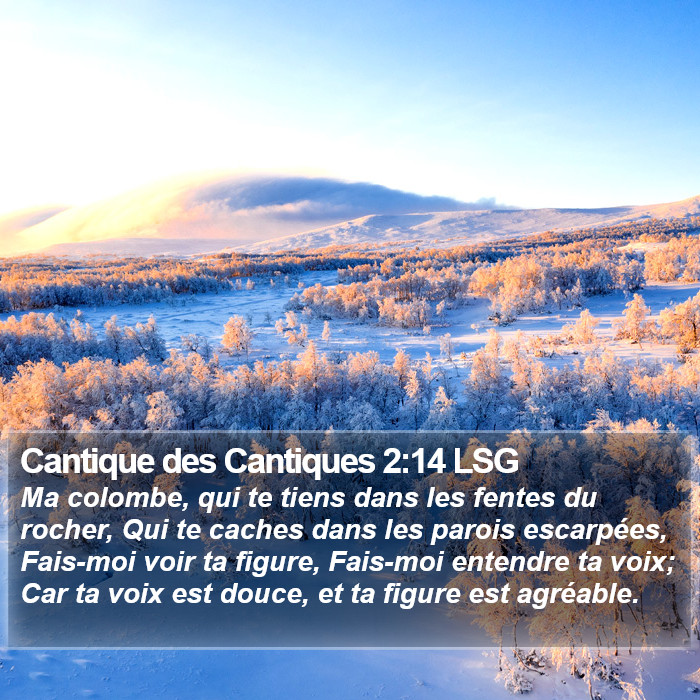 Cantique des Cantiques 2:14 LSG Bible Study