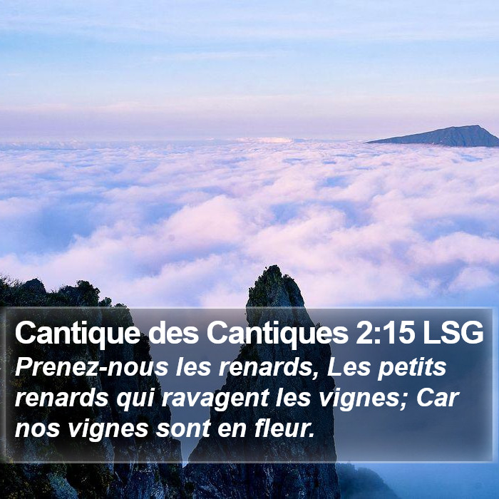 Cantique des Cantiques 2:15 LSG Bible Study