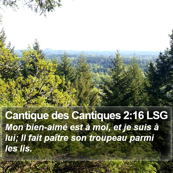 Cantique des Cantiques 2:16 LSG Bible Study