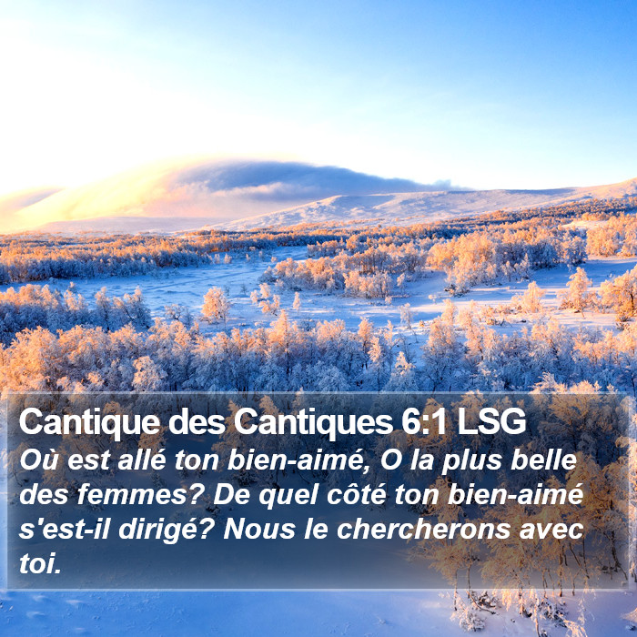 Cantique des Cantiques 6:1 LSG Bible Study