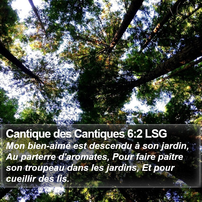 Cantique des Cantiques 6:2 LSG Bible Study