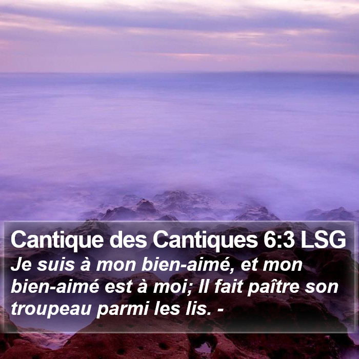 Cantique des Cantiques 6:3 LSG Bible Study