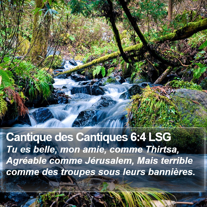 Cantique des Cantiques 6:4 LSG Bible Study