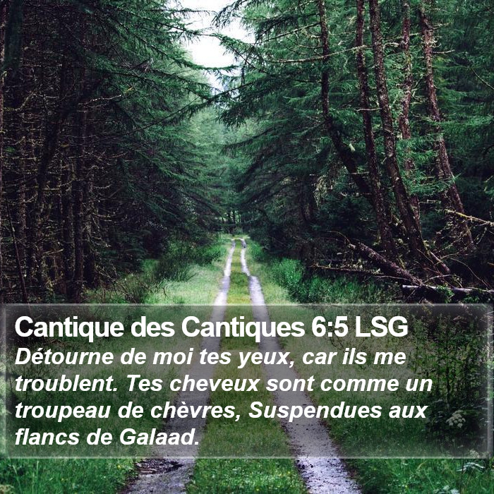 Cantique des Cantiques 6:5 LSG Bible Study