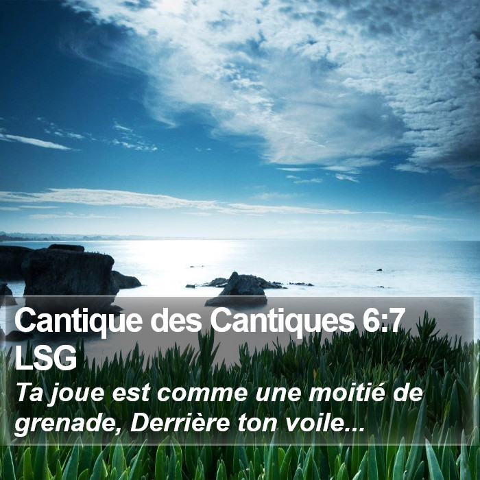 Cantique des Cantiques 6:7 LSG Bible Study