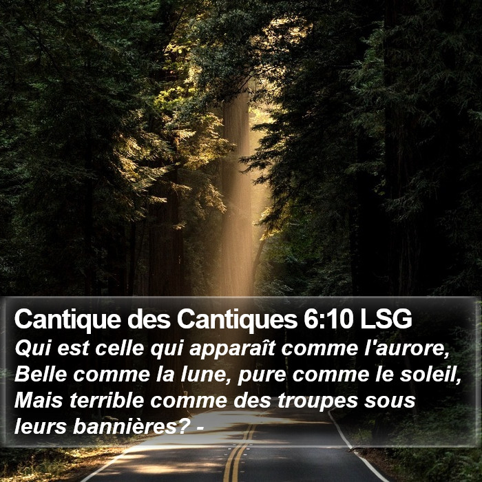 Cantique des Cantiques 6:10 LSG Bible Study