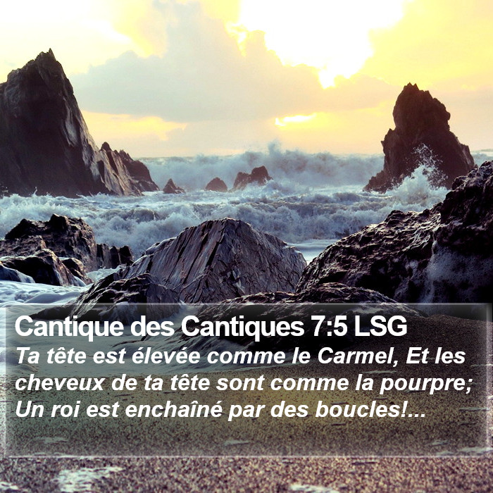Cantique des Cantiques 7:5 LSG Bible Study