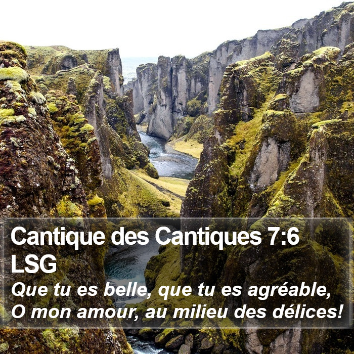 Cantique des Cantiques 7:6 LSG Bible Study