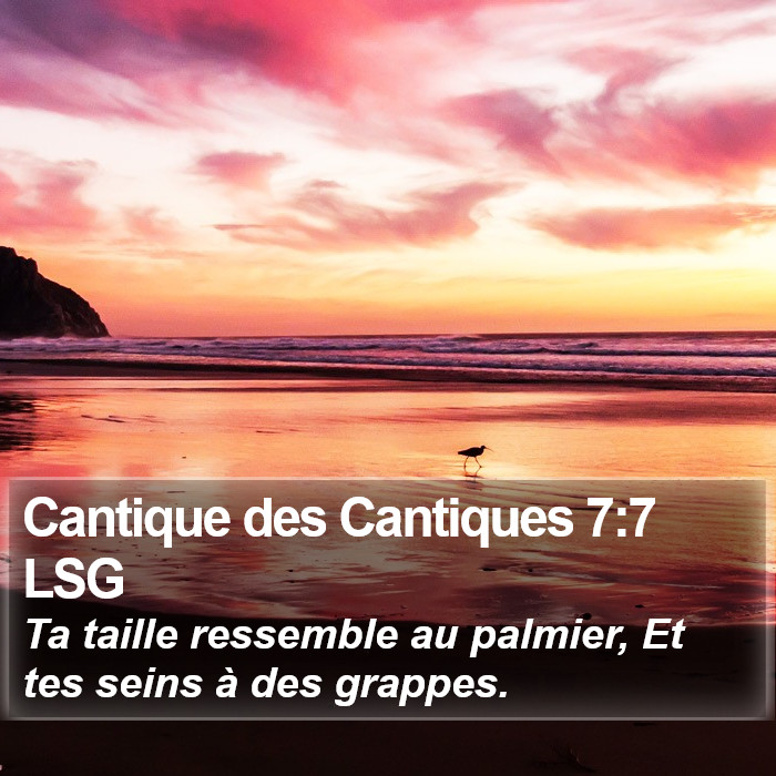 Cantique des Cantiques 7:7 LSG Bible Study