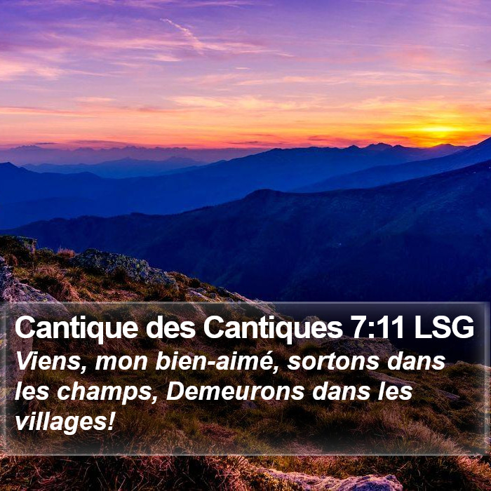 Cantique des Cantiques 7:11 LSG Bible Study