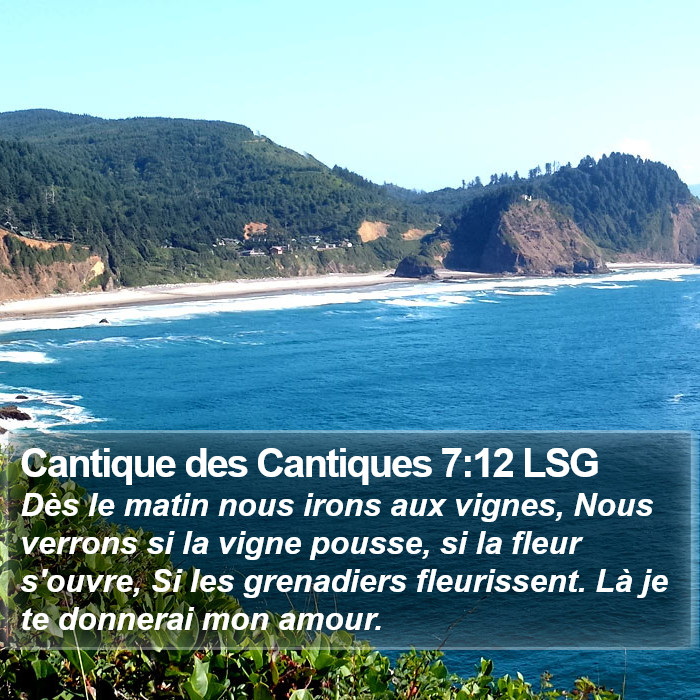 Cantique des Cantiques 7:12 LSG Bible Study