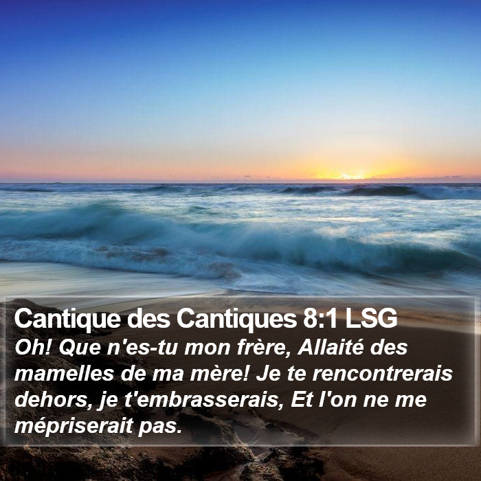 Cantique des Cantiques 8:1 LSG Bible Study