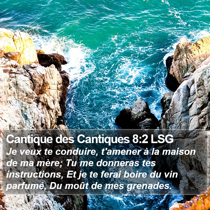 Cantique des Cantiques 8:2 LSG Bible Study