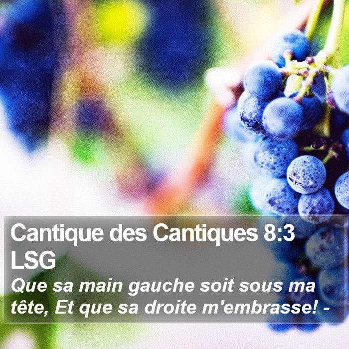 Cantique des Cantiques 8:3 LSG Bible Study