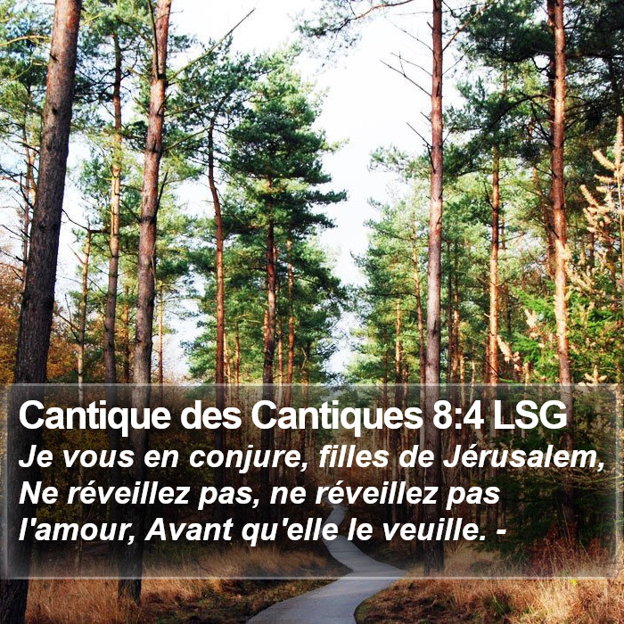 Cantique des Cantiques 8:4 LSG Bible Study