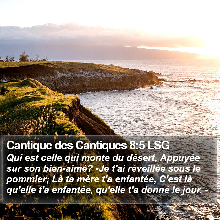 Cantique des Cantiques 8:5 LSG Bible Study