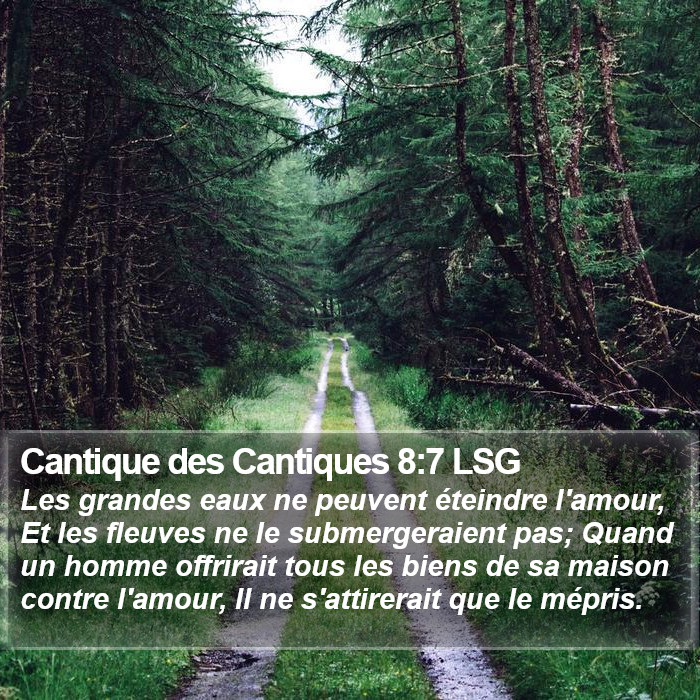 Cantique des Cantiques 8:7 LSG Bible Study