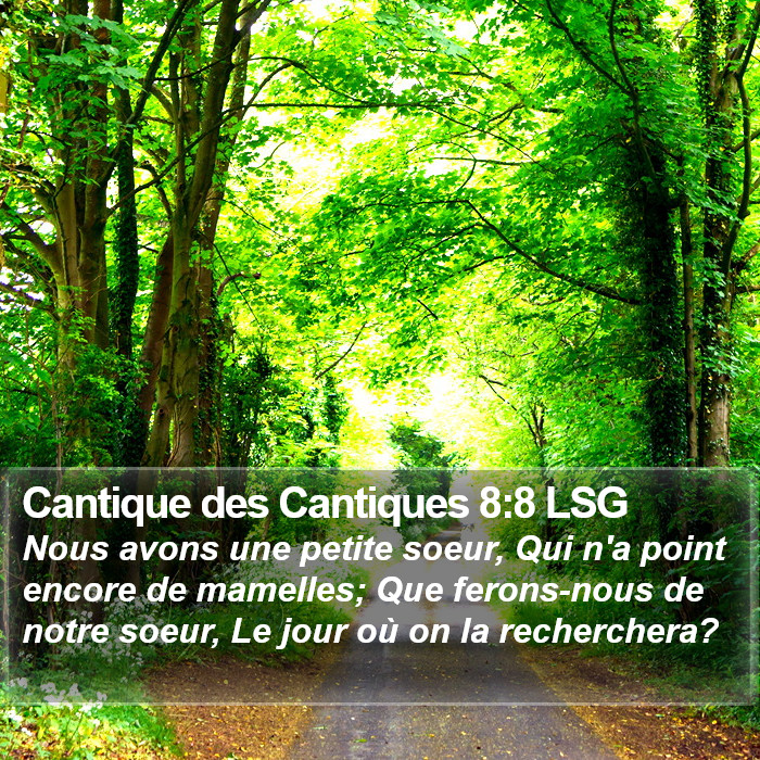 Cantique des Cantiques 8:8 LSG Bible Study