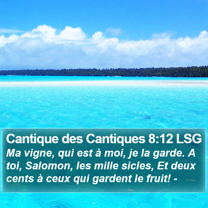 Cantique des Cantiques 8:12 LSG Bible Study