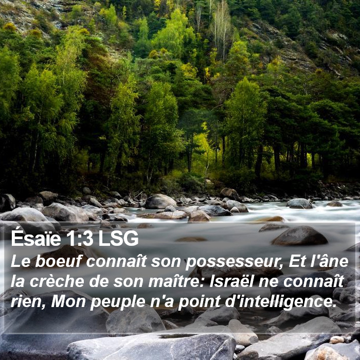 Ésaïe 1:3 LSG Bible Study