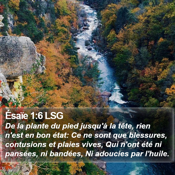 Ésaïe 1:6 LSG Bible Study