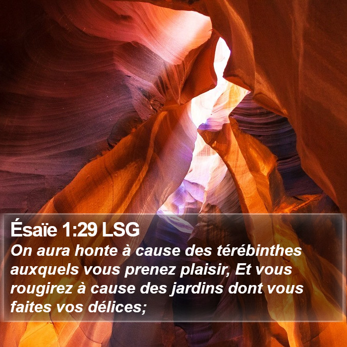 Ésaïe 1:29 LSG Bible Study