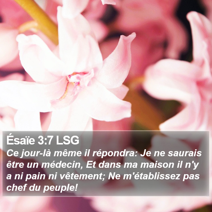 Ésaïe 3:7 LSG Bible Study