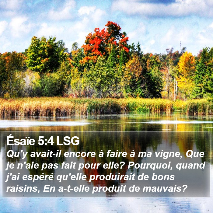 Ésaïe 5:4 LSG Bible Study