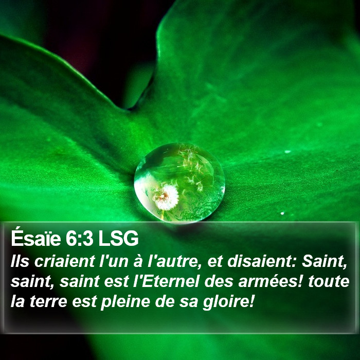 Ésaïe 6:3 LSG Bible Study